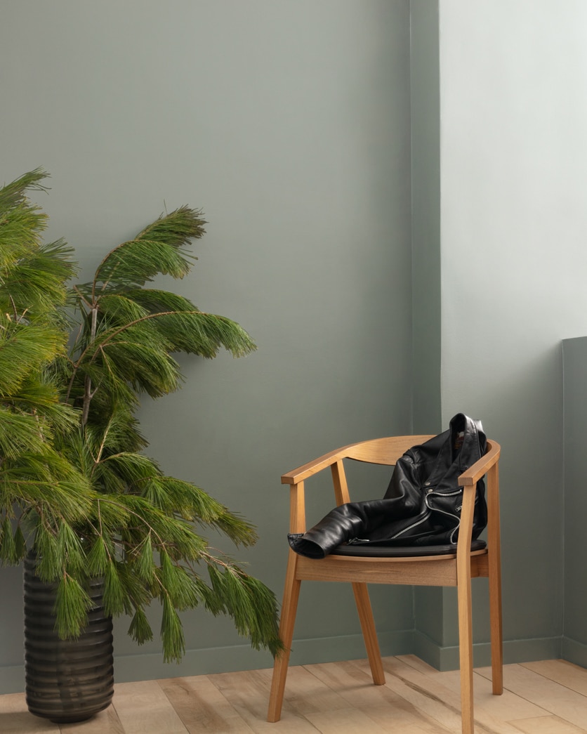 Painted wall in Sabre Gray 1482