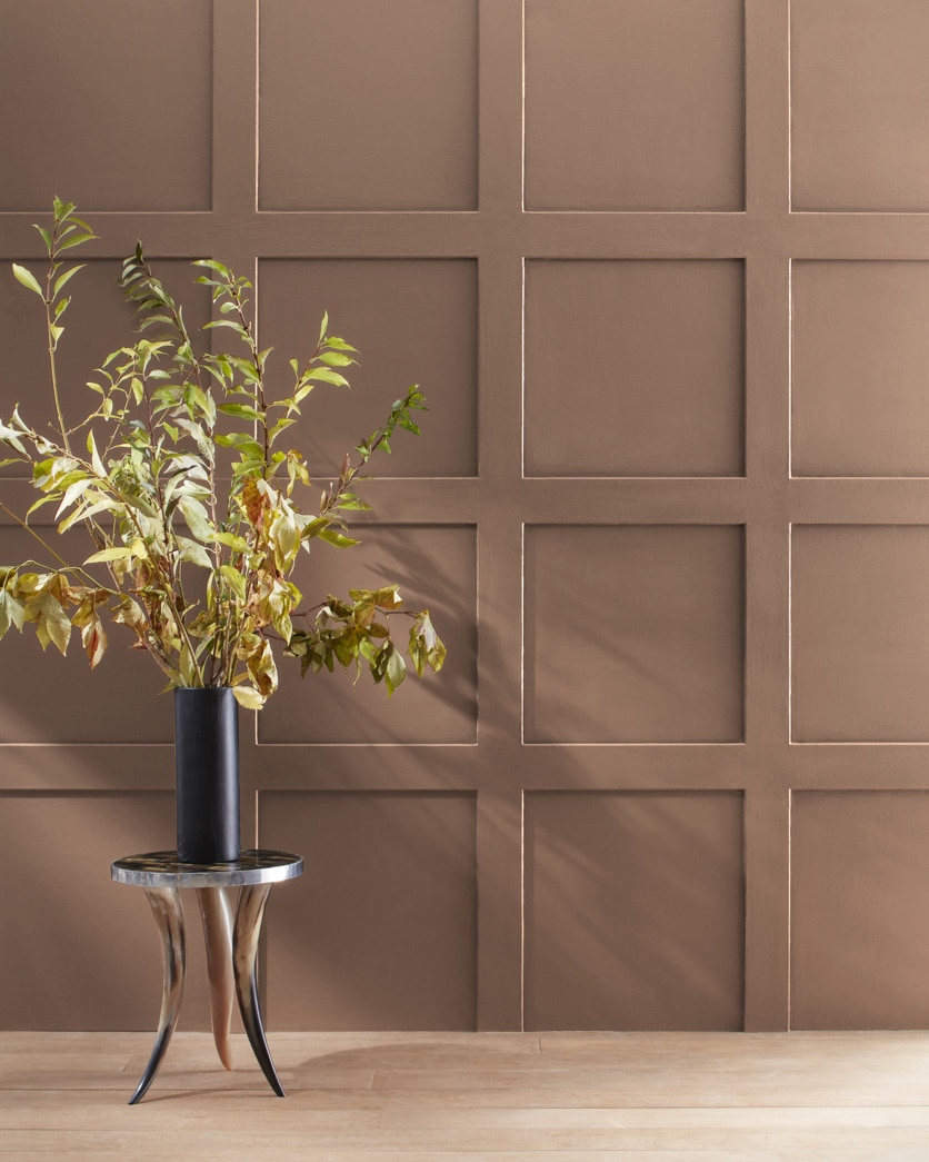 Painted wall in Saddle Soap 2110-30