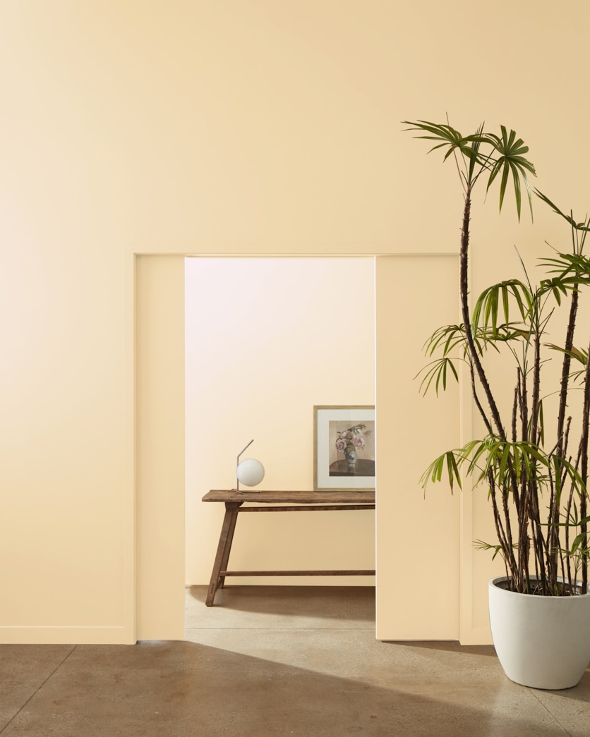 Painted wall in Safari AF-335