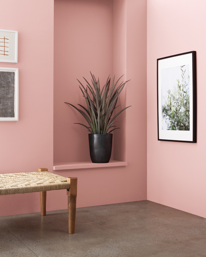 Painted wall in Salmon Berry 2089-50