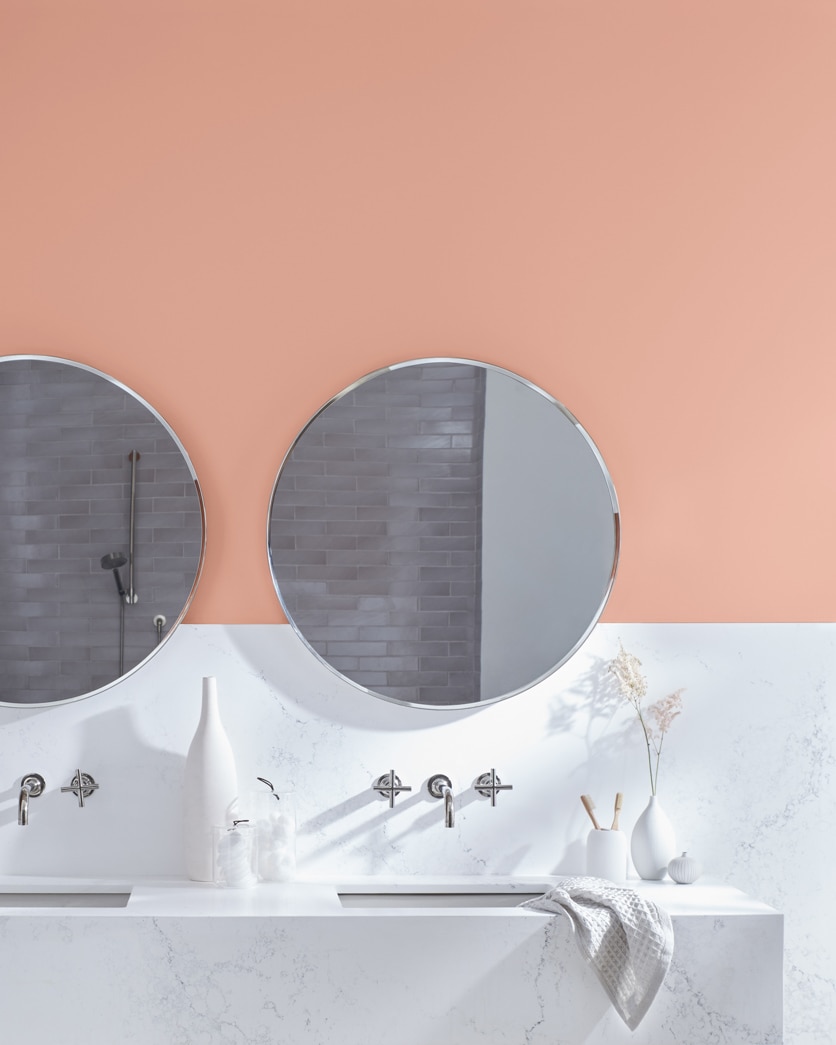 Painted wall in Salmon Mousse 046