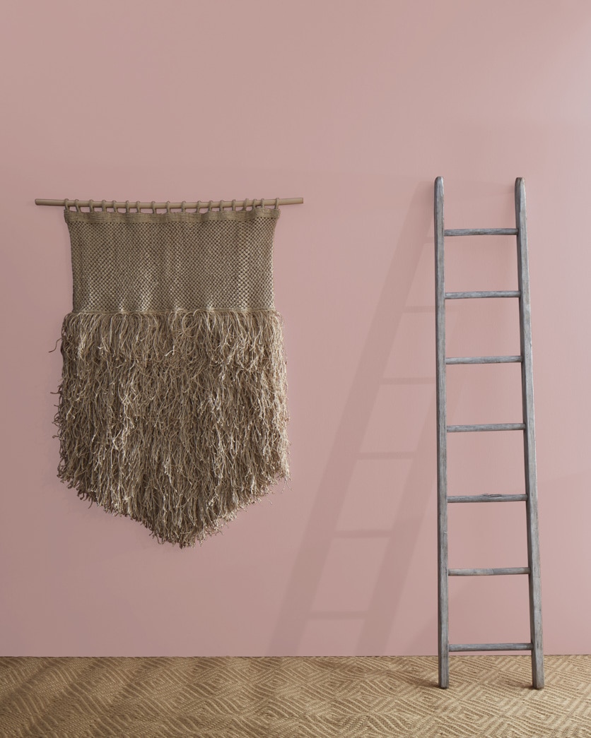 Painted wall in Sandblast 2103-50