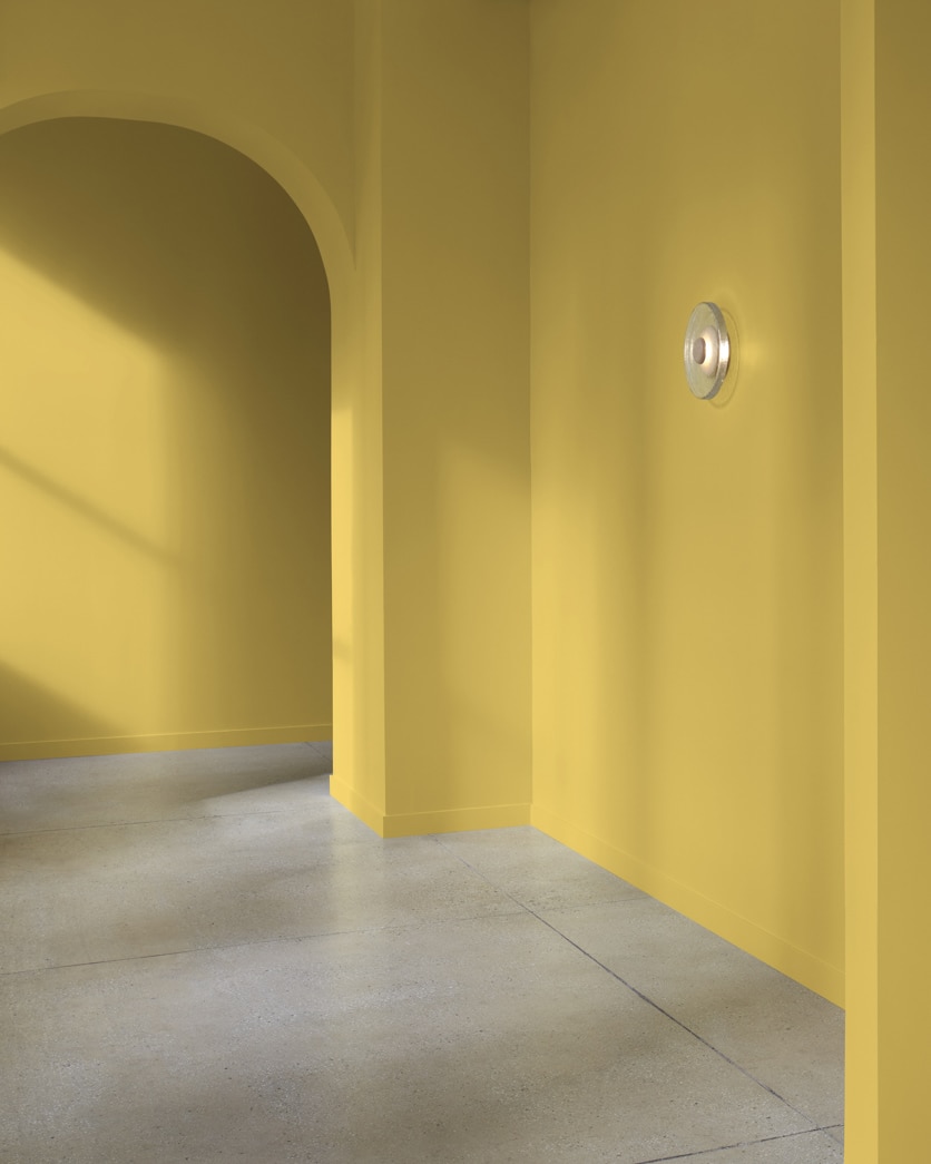Painted wall in Savannah Green 2150-30