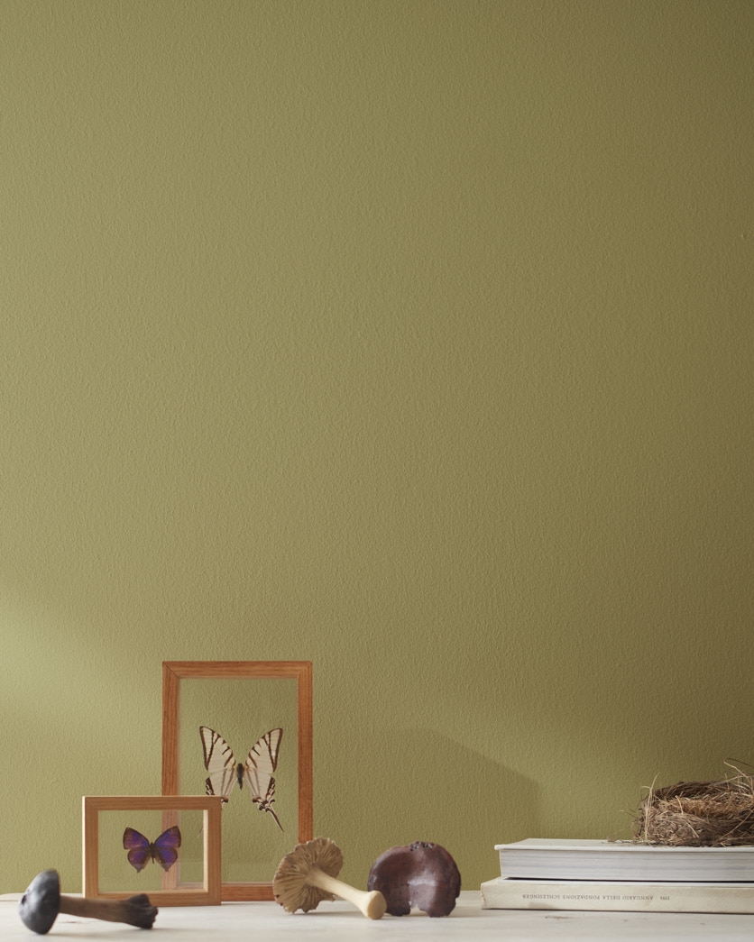 Painted wall in Savannah Shade 525