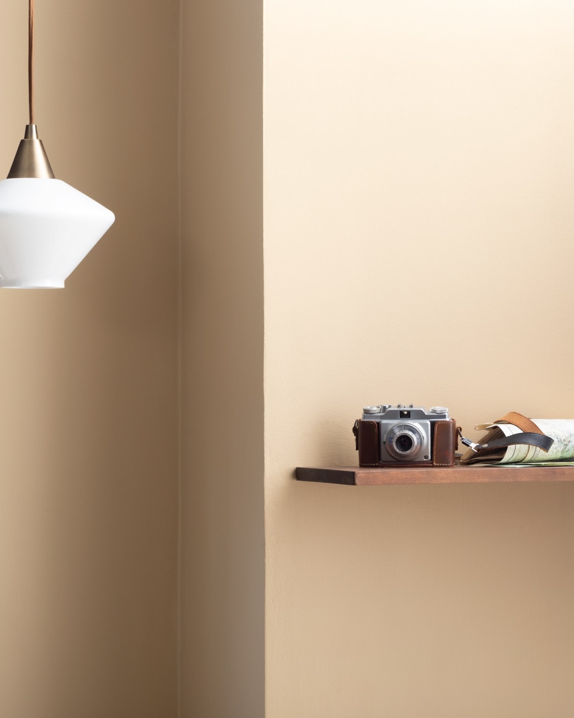 Painted wall in Sea Urchin CC-370