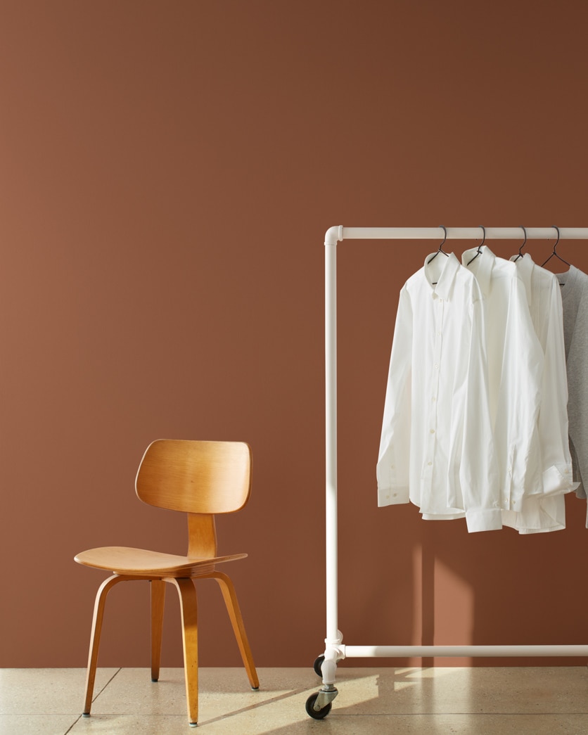 Painted wall in Seed Brown 2096-10