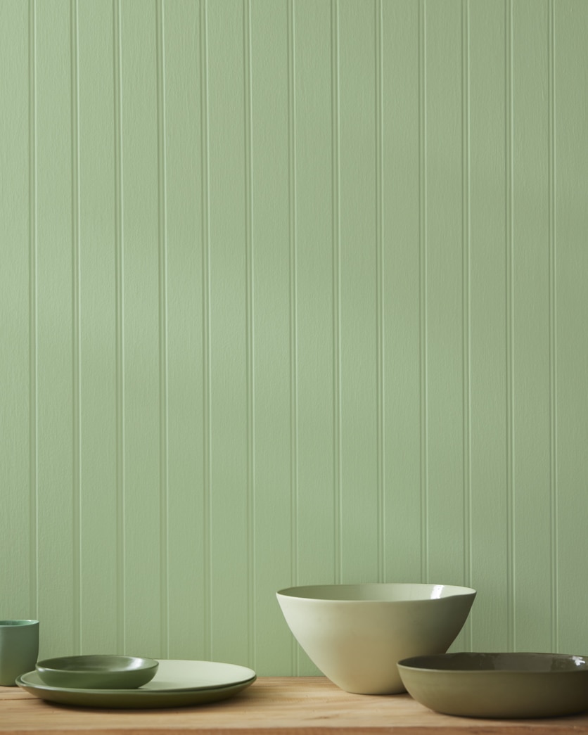 Painted wall in Seedling AF-450