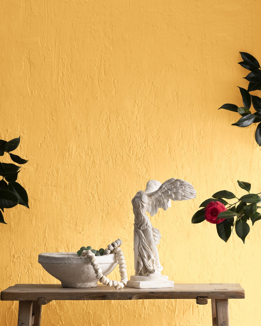 Painted wall in Semolina 2155-40
