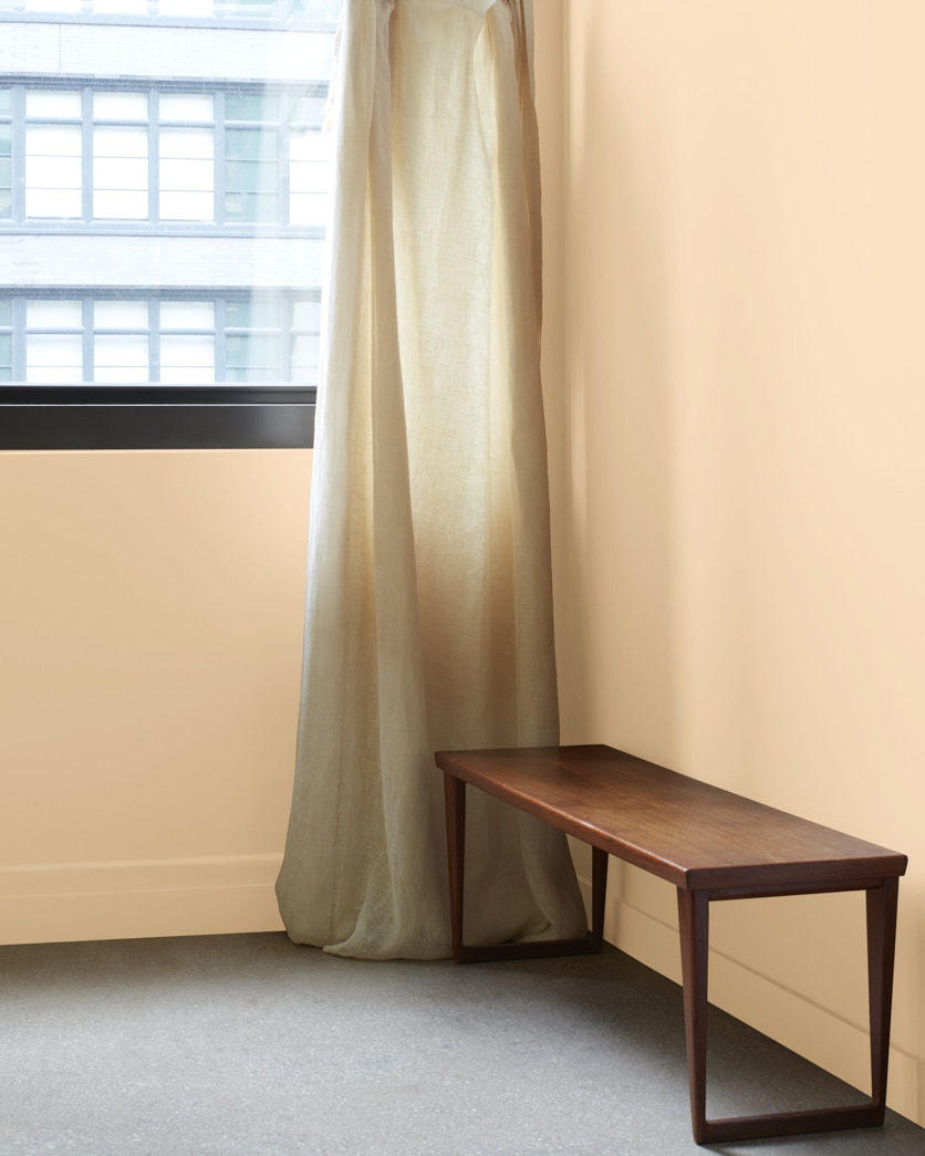 Painted wall in Sepia Tan CC-276