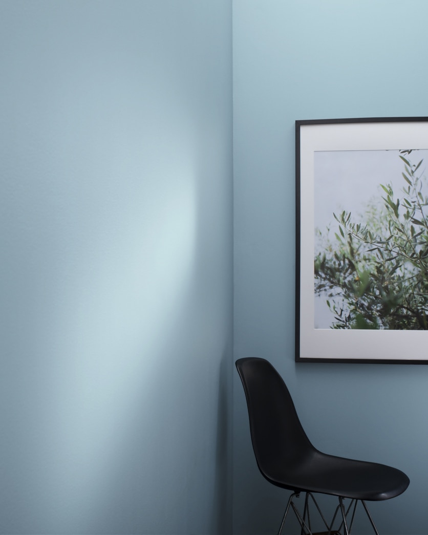 Painted wall in Serenata AF-535