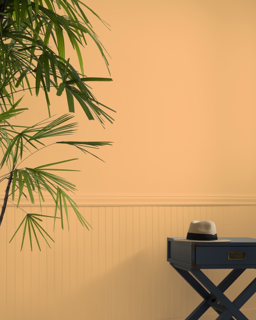 Painted wall in Seville Oranges 131