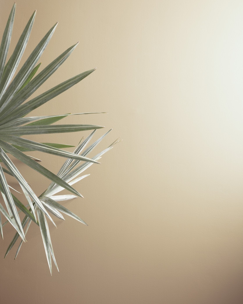 Painted wall in Shaker Beige HC-45