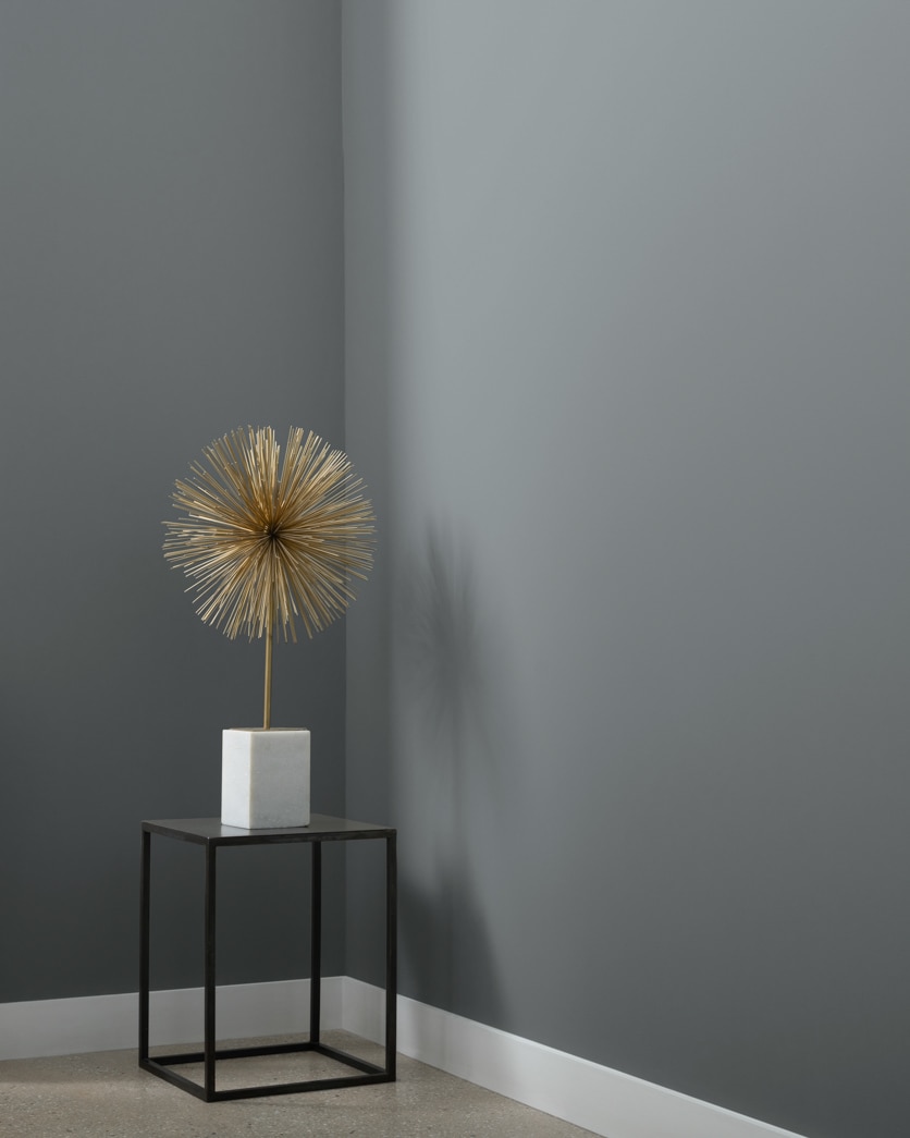 Painted wall in Shark Gray 2134-40