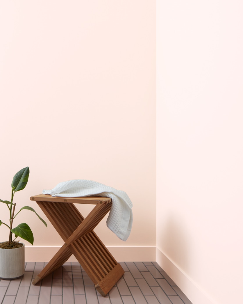 Painted wall in Shell Pink 883