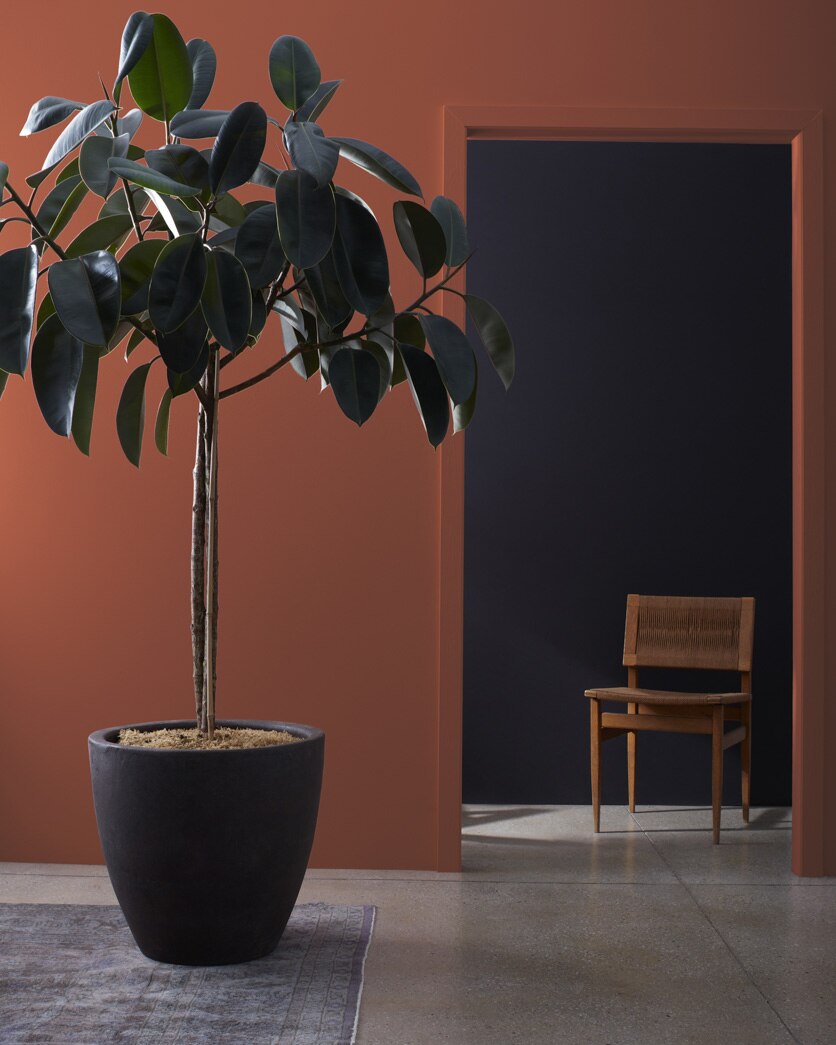 Painted wall in Sienna 2092-20