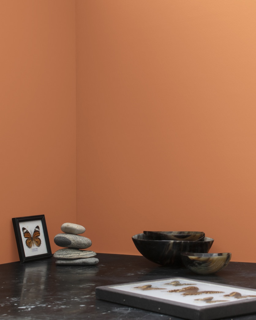 Painted wall in Sienna Clay 104
