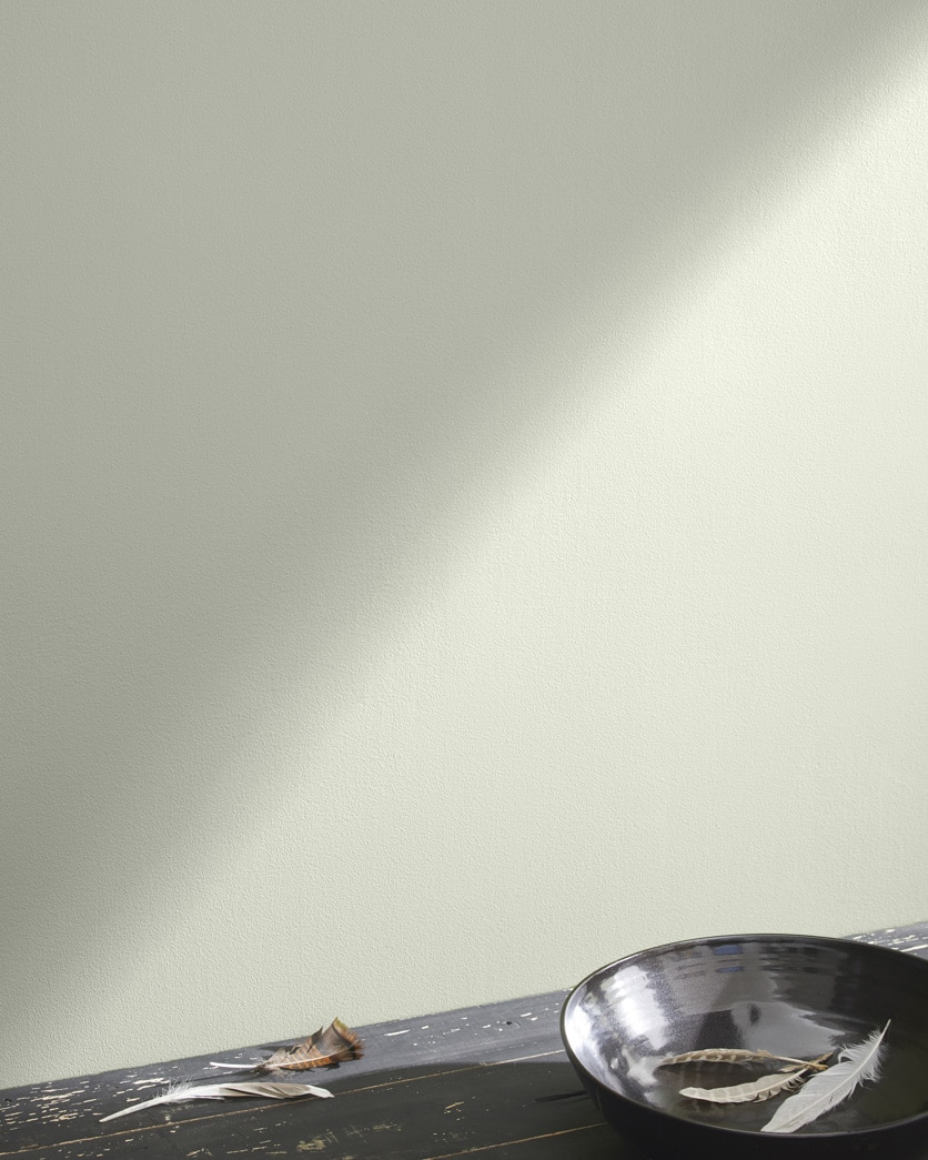 Painted wall in Silken Pine 2144-50