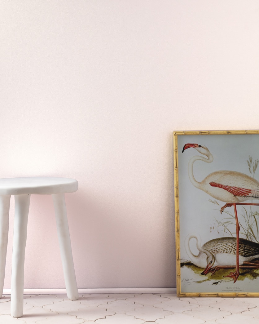 Painted wall in Silky Smooth 1373