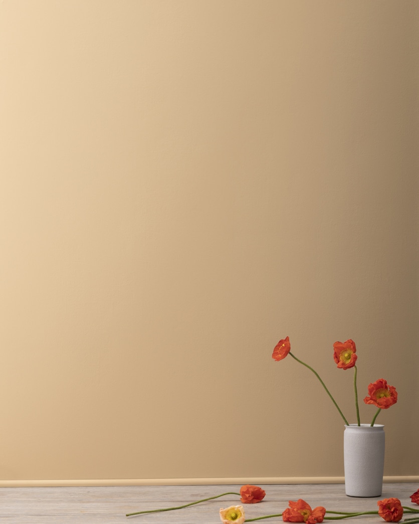 Painted wall in Sisal CC-304