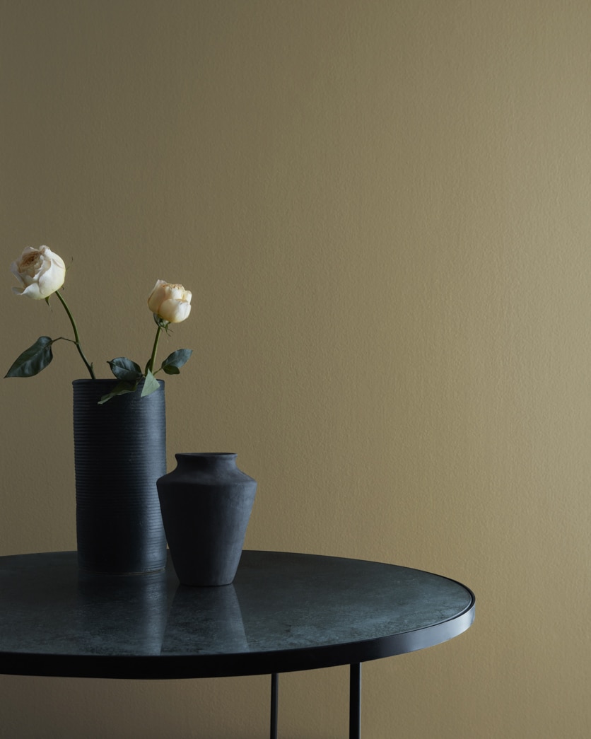 Painted wall in Smoke Bush 1519