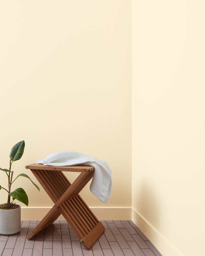 Painted wall in Soft Biscuit 919