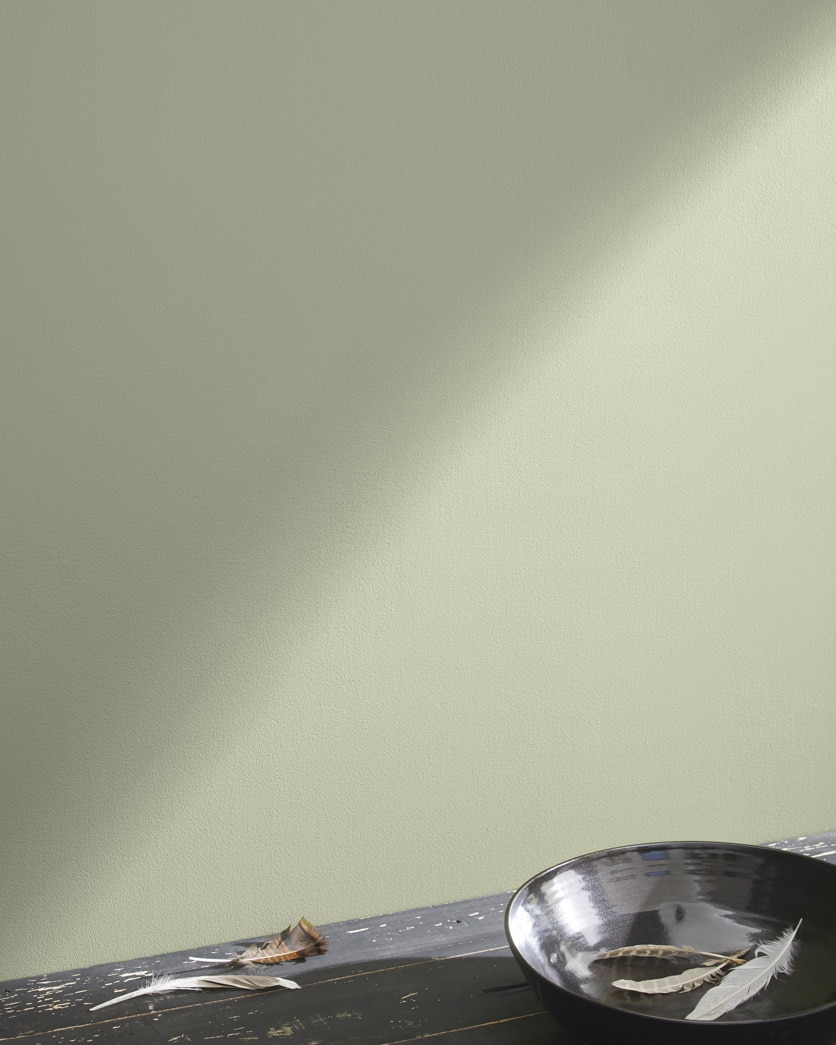 Painted wall in Soft Fern 2144-40