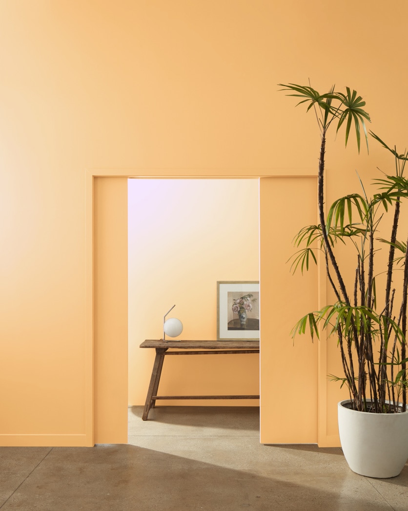 Painted wall in Soft Marigold 160