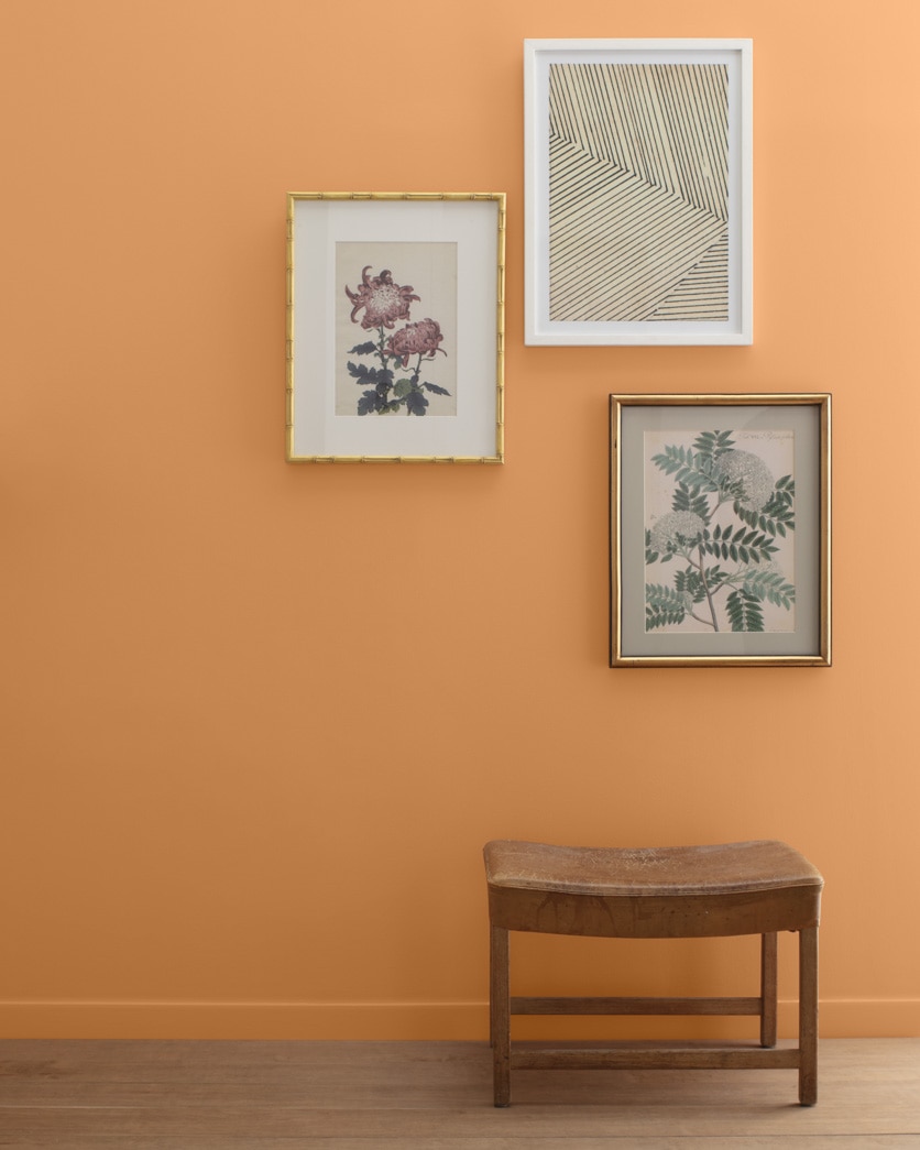 Painted wall in Soft Pumpkin 2166-40