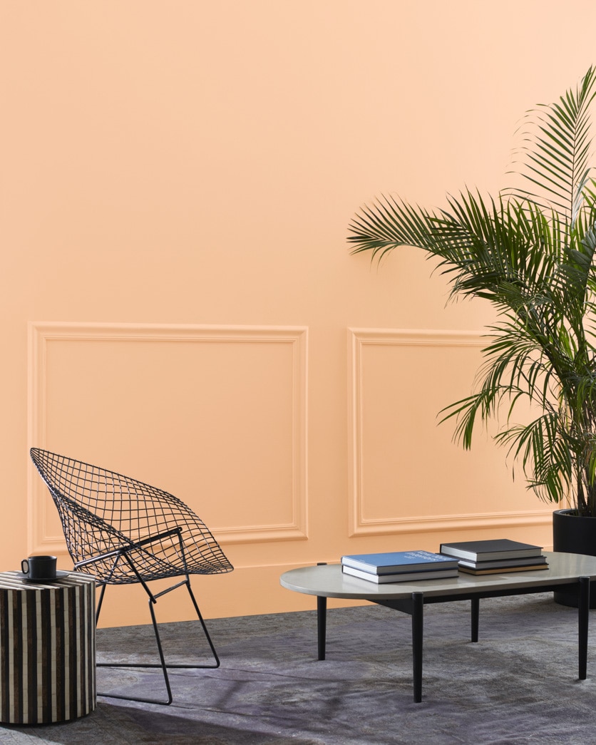 Painted wall in Soft Salmon 096