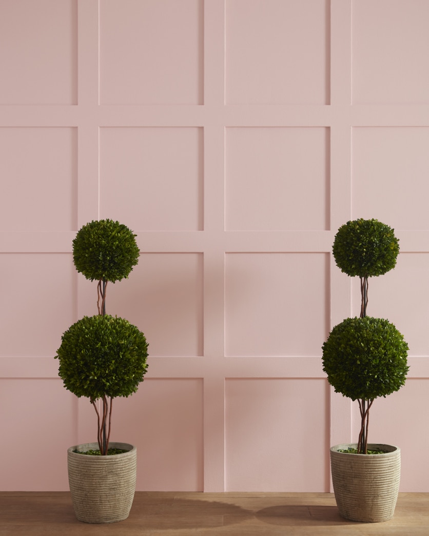 Painted wall in Sonoma Clay 1242