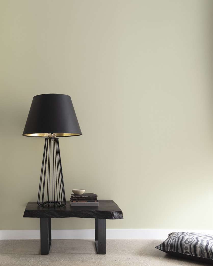 Painted wall in Spanish Olive CC-606