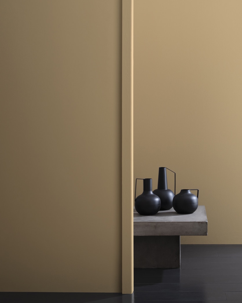Painted wall in Spice Gold 1040