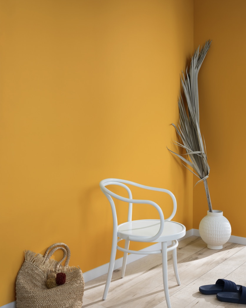 Painted wall in Spicy Mustard 2154-20