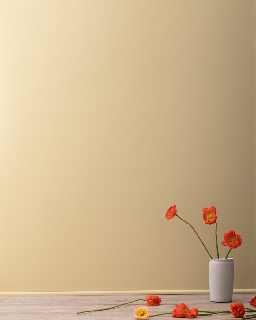 Painted wall in Splendor AF-385