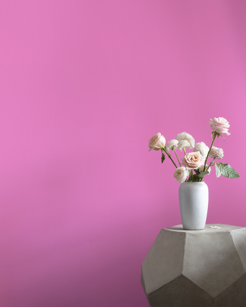 Painted wall in Spring Azalea 2077-40