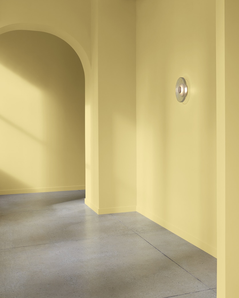 Painted wall in Spring Dust 2150-40