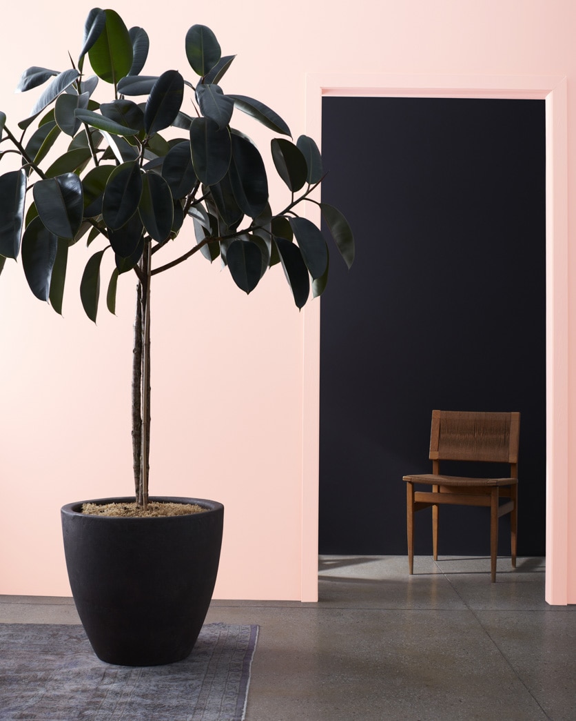 Painted wall in Spring Pink 2090-70