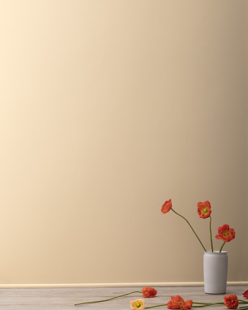 Painted wall in Squire Hill Buff 1068