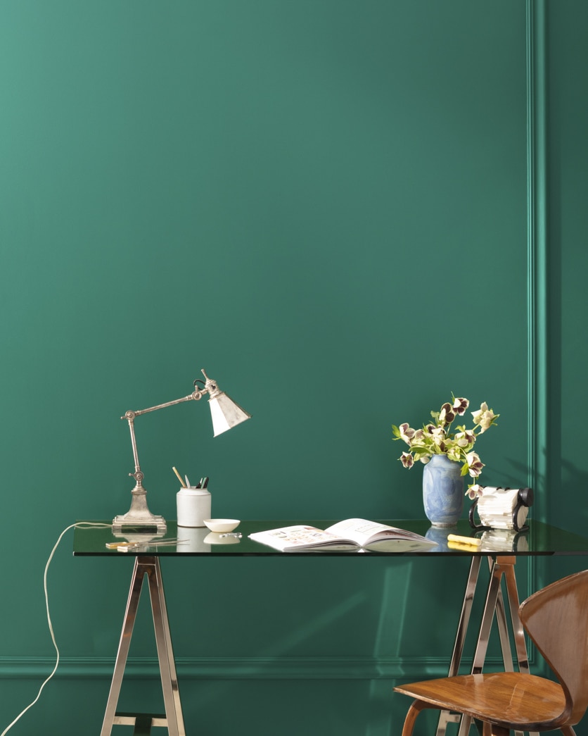 Painted wall in Steamed Spinach 643
