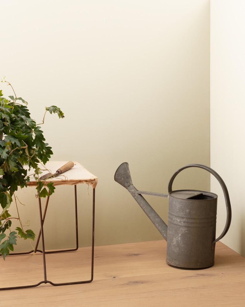 Painted wall in Stoneware CSP-245