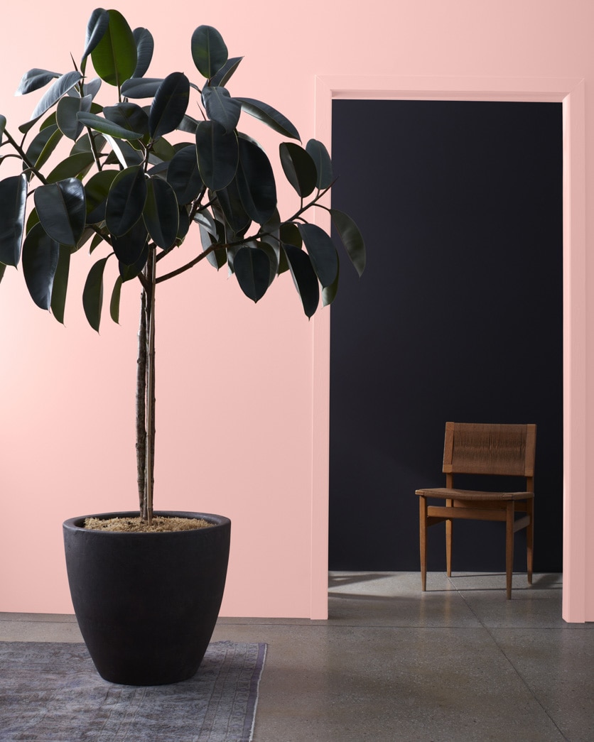 Painted wall in Strawberry Freeze 2090-60