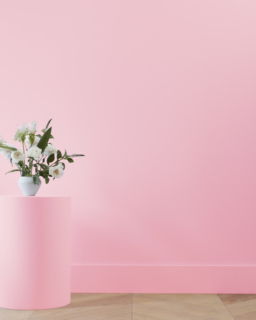 Painted wall in Strawberry Sorbet 2087-50