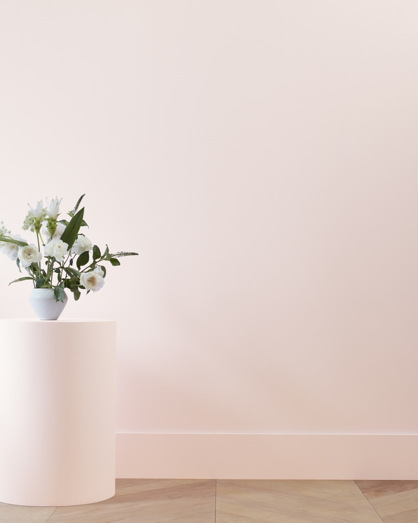 Painted wall in Strawberry Yogurt 2104-70