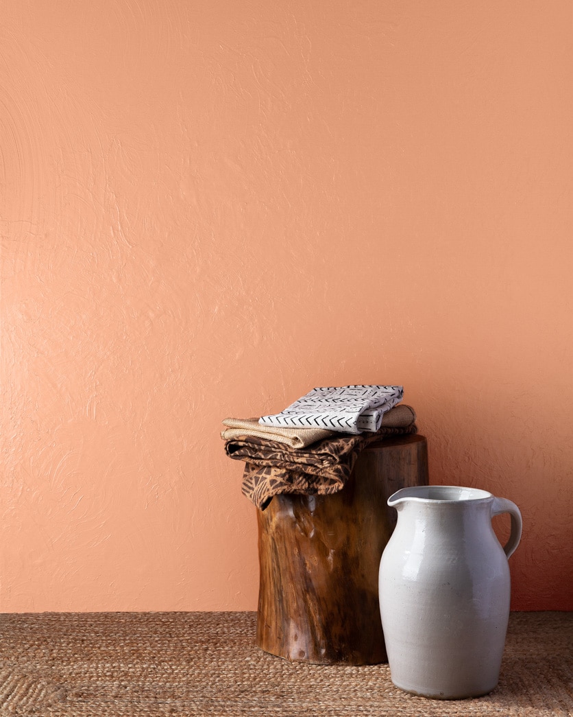 Painted wall in Succulent Peach 068
