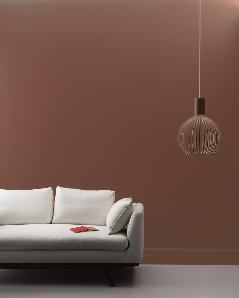 Painted wall in Suede Brown 2101-10