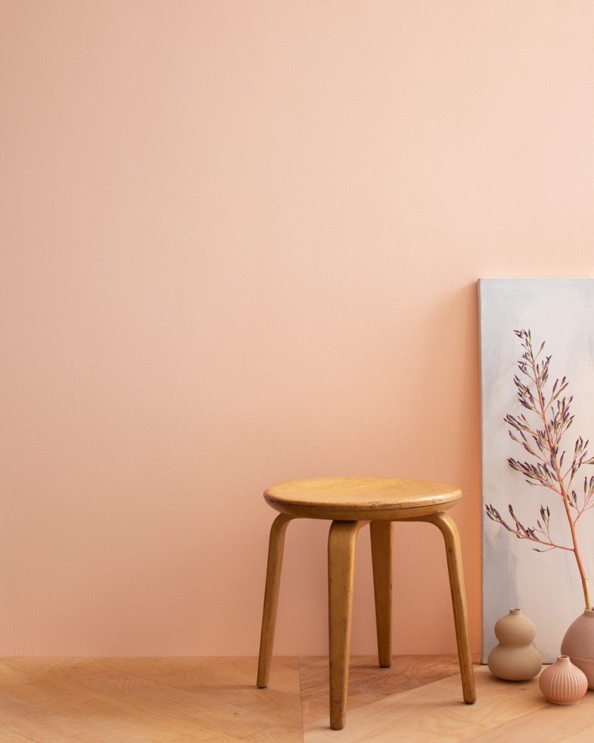 Painted wall in Summer Melon 2168-50