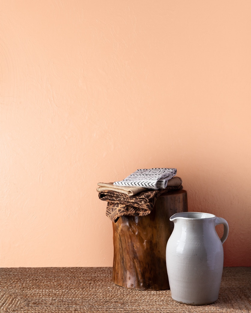 Painted wall in Summer Peach Tree 088