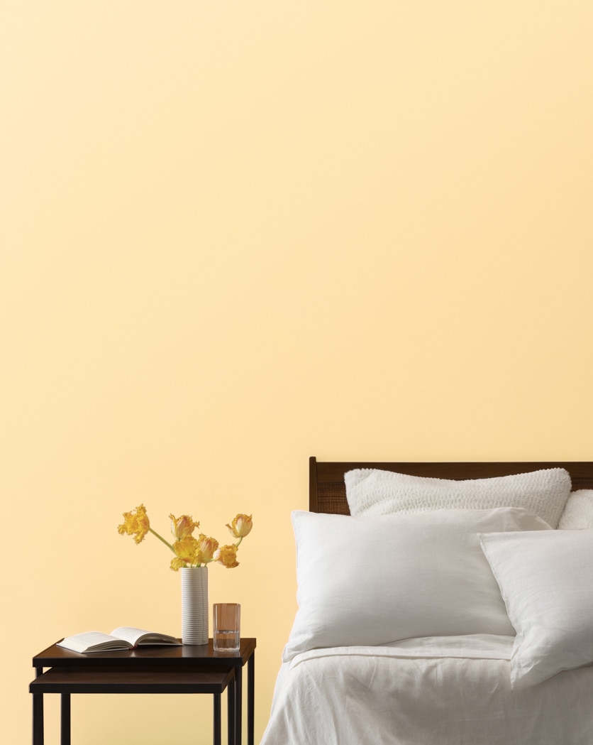 Painted wall in Sun Blossom 149