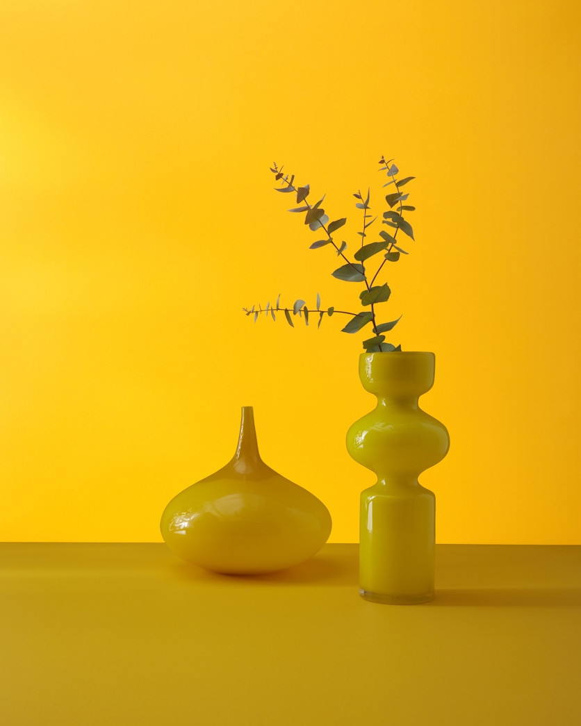 Painted wall in Sunflower 2019-30