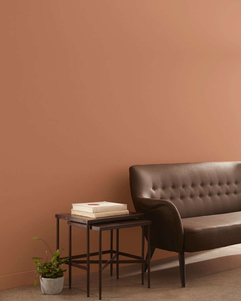 Painted wall in Suntan Bronze 1217